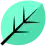 A green leaf